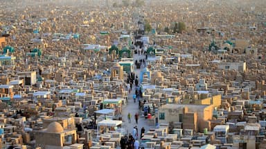 وادی السلام |علما و افراد دفن شده + این قبرستان کجاست؟