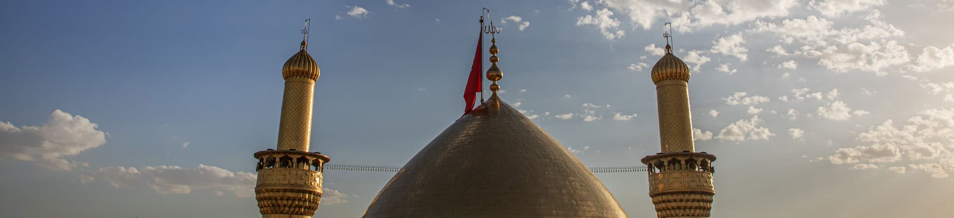 تور کربلا vip